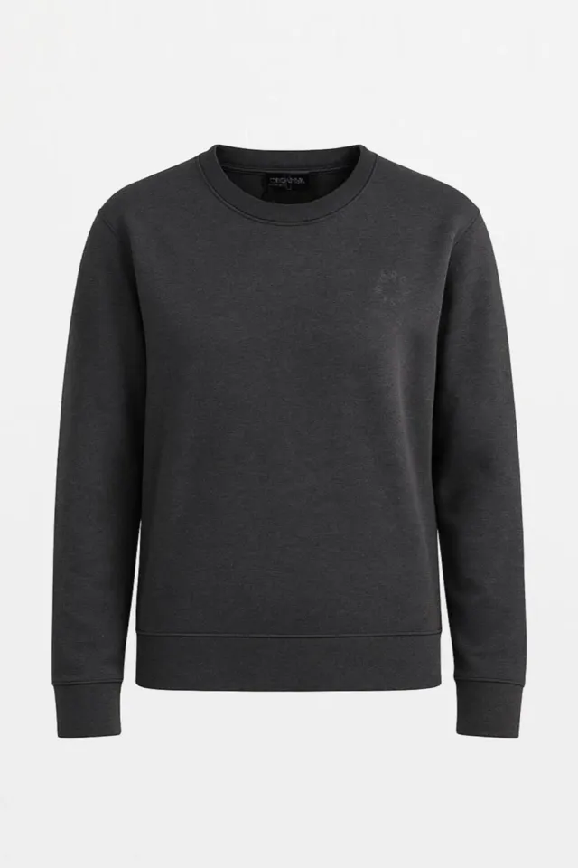 Organsk The Classic Organic sweatshirt grå oversize