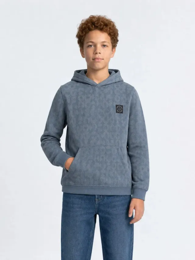 Petrol Industries Forgeplace hoodie Beluga med print drenge