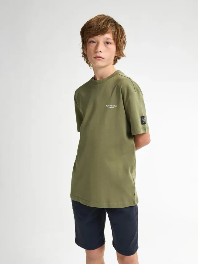 Petrol Industries Flamingview t-shirt dusty army drenge