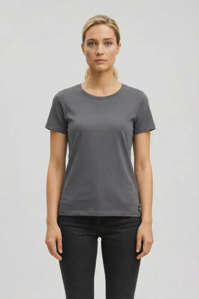 Organsk Classic Organic Tee T-shirt grå 100% bomuld