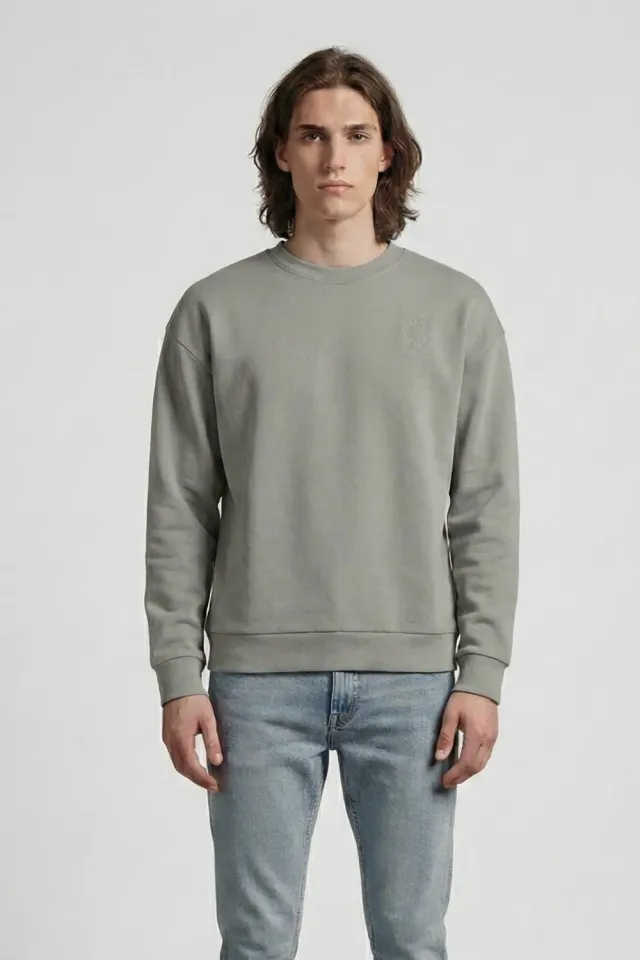Organsk The Classic Organic sweatshirt grøn