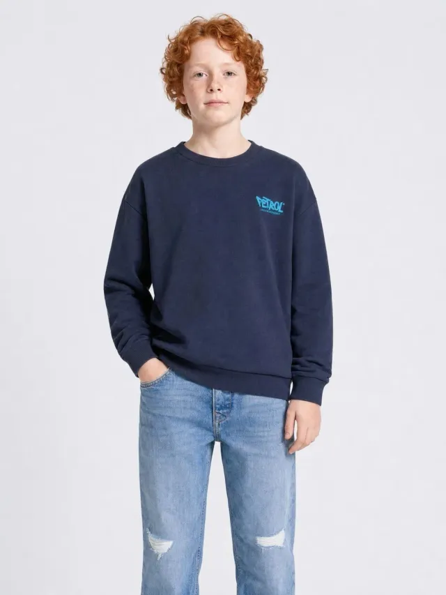 Petrol Industries Steelbrook sweater med print i bomuld